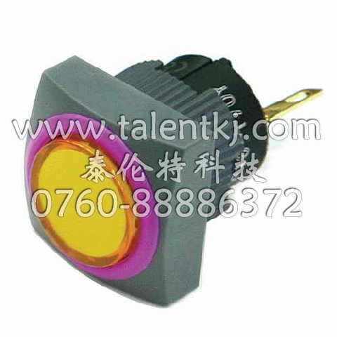 (yng)TALENT̩/ K16-931ϵ/16mmLEDĢ^o_P(gun) 
P(gun)I: