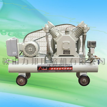 o(w)͚wsC(j) oil free gas compressor 
P(gun)I: