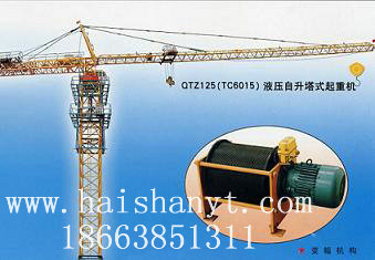 QTZ125QTZ125 Tower crane 
P(gun)I: