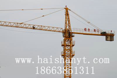 QTZ40QTZ40Tower crane 
P(gun)I: