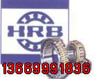 (yng)HRBISS  ½N̎ 
P(gun)I: