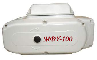 MBY-100Ly(zh) 
P(gun)I: