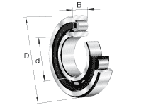 ˹˹PALFAGƷNU2224-E-TVP2S 
P(gun)I: