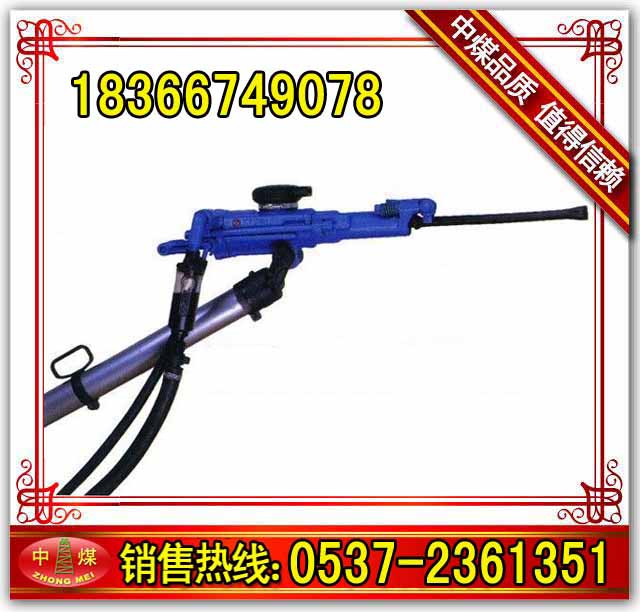 菎rCYT29A 
P(gun)I: